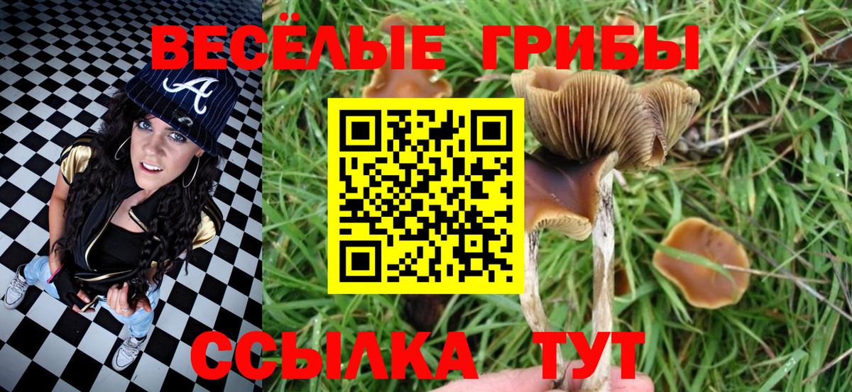 наркошоп  Галлюциногенные грибы мухоморы  Вход с VPN  Майкоп 
