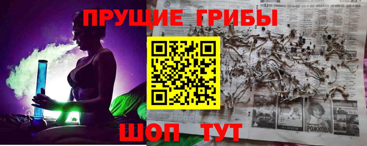Псилоцибиновые грибы прущие грибы Майкоп